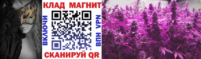 Виды наркотиков купить Касли МАРИХУАНА  Псилоцибиновые грибы  ГАШ  Мефедрон  Кодеин  КОКАИН 