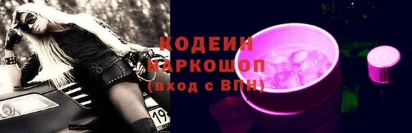 индика Нязепетровск