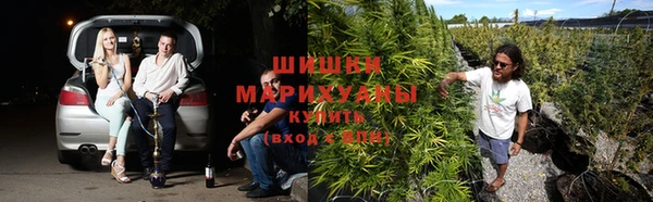 COCAINE Гвардейск