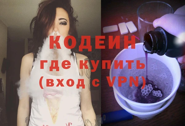 индика Нязепетровск