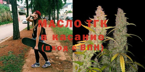 индика Нязепетровск
