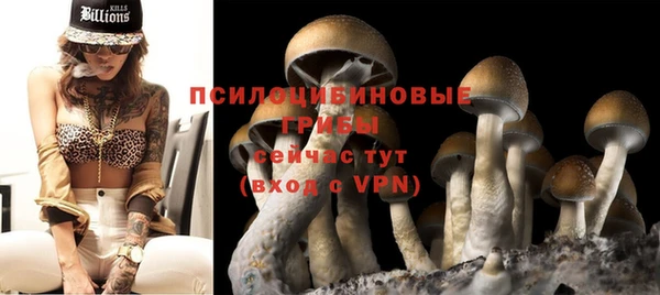 а пвп мука Осинники
