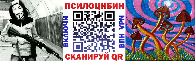 Псилоцибиновые грибы ЛСД  darknet клад  Касли  наркотики 